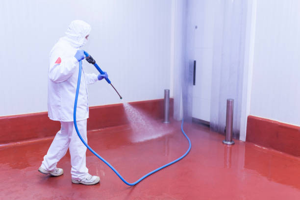 Best Warehouse Cleaning  in Clatskanie, OR
